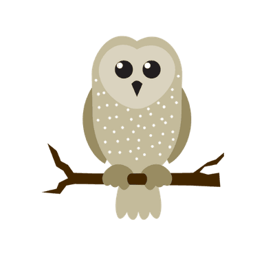Mystical Owl